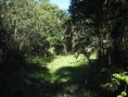 /products/terreno-com-47%2c5-alqueires-para-reserva-%28-compensa%c3%a7%c3%a3o-de-carbono-%29-/